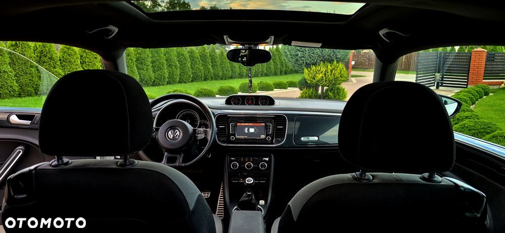 Volkswagen Beetle - 17
