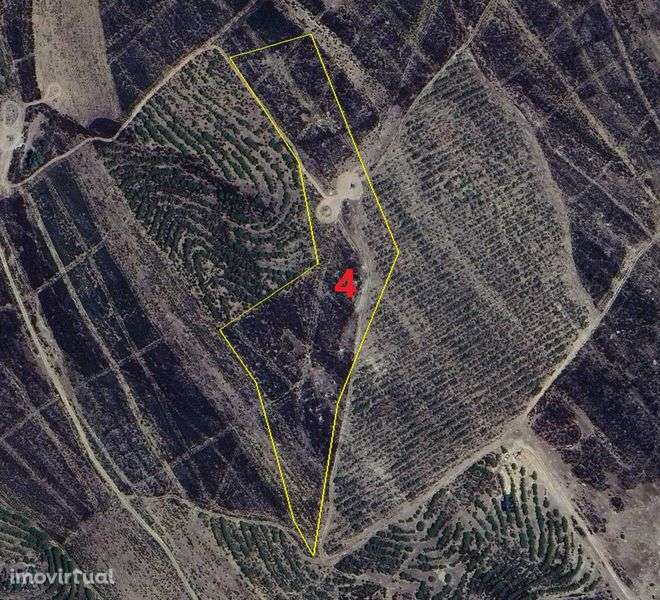 Prédios Rústicos - Alcoutim - Grande imagem: 5/6