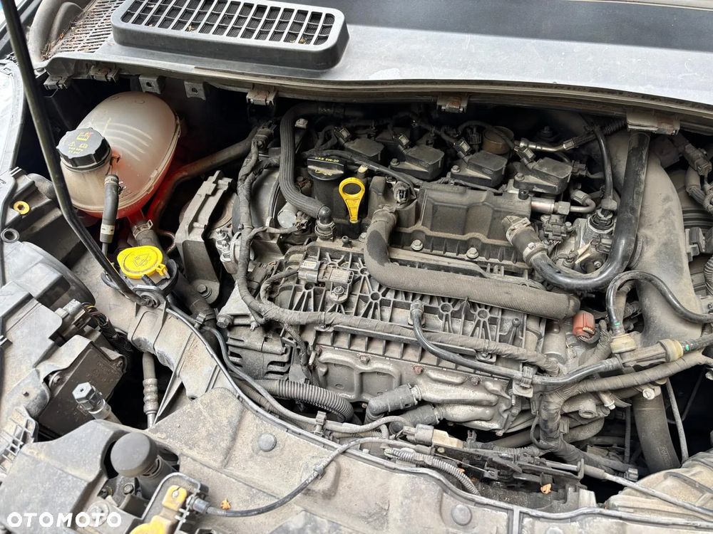 Ford Kuga 1.5 EcoBoost FWD Trend ASS MMT6 - 25