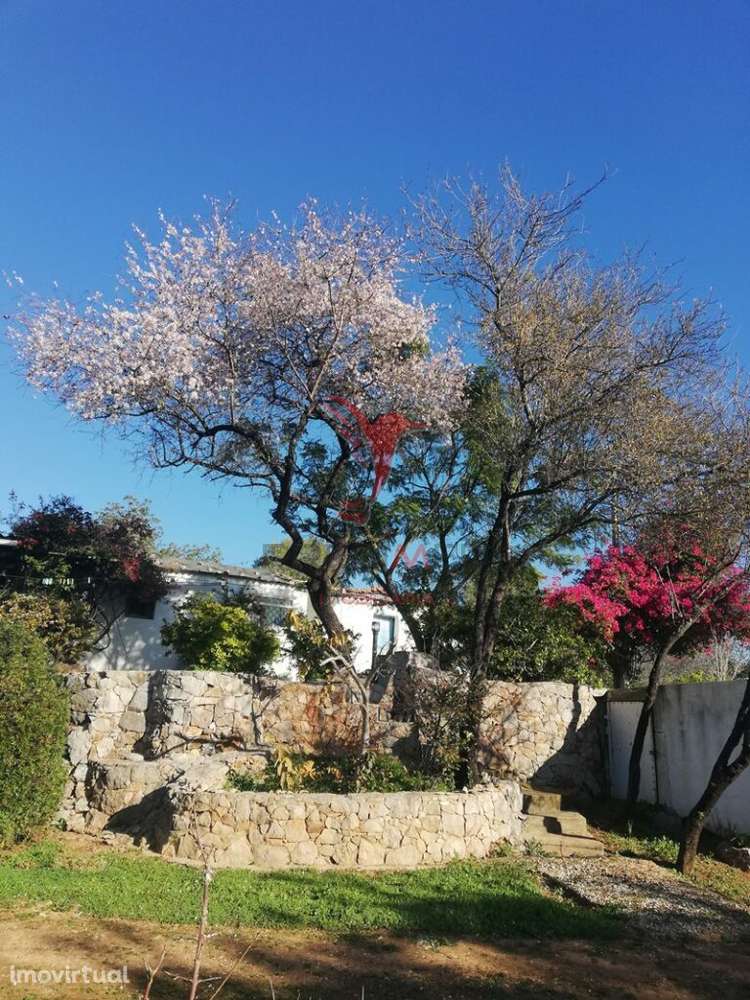 Tavira - terreno com moradia / land with house - Grande imagem: 5/21