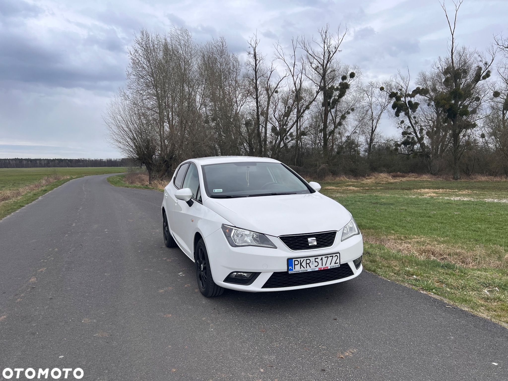 Seat Ibiza 1.6 TDI Style - 1