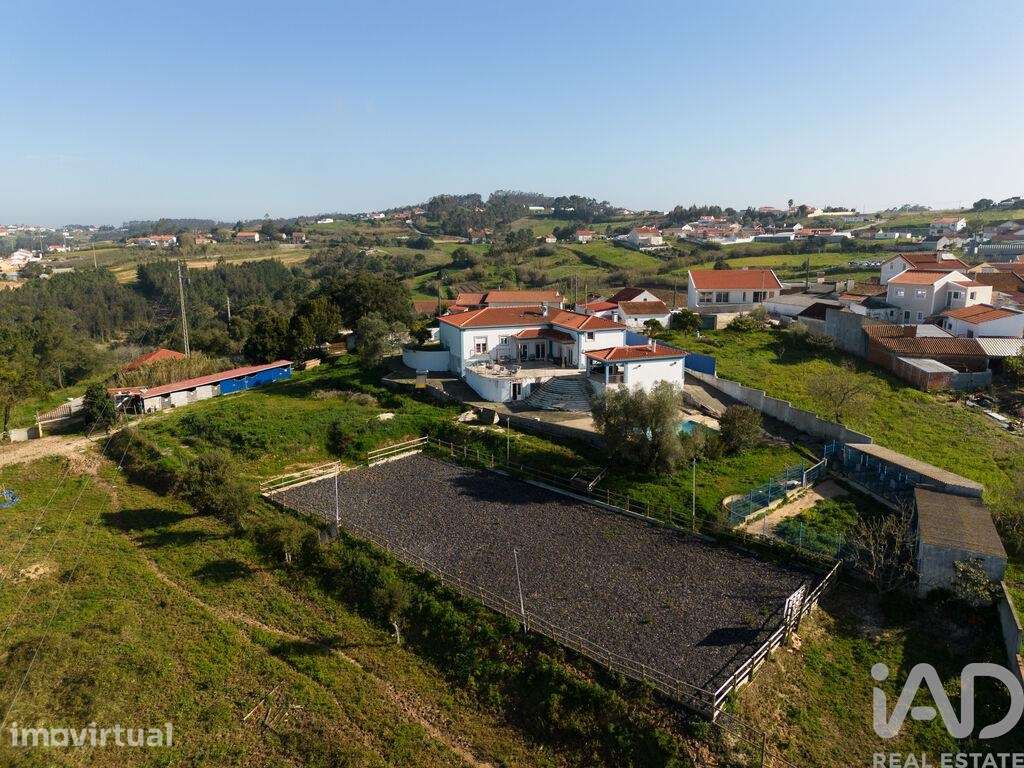 Quinta T4 em Salir de Matos de 483,00 m2 - Grande imagem: 3/29