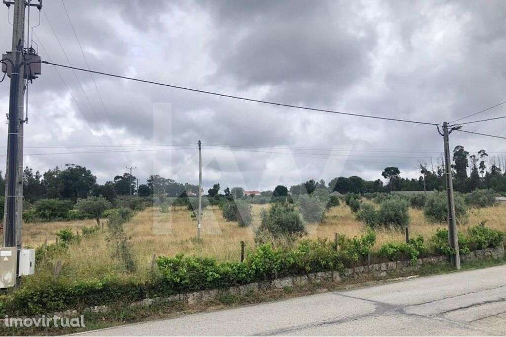 Terreno para construção | Paisagem Serra da Estrela | Paisagem Serra d - Grande imagem: 2/10