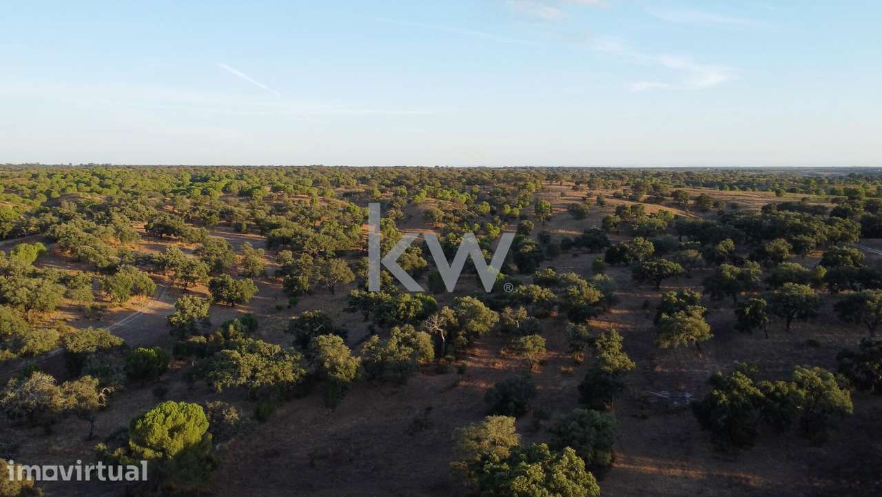 Refúgio Ideal no Alentejo: Investimento único com Potencial Agrícola e - Grande imagem: 3/23