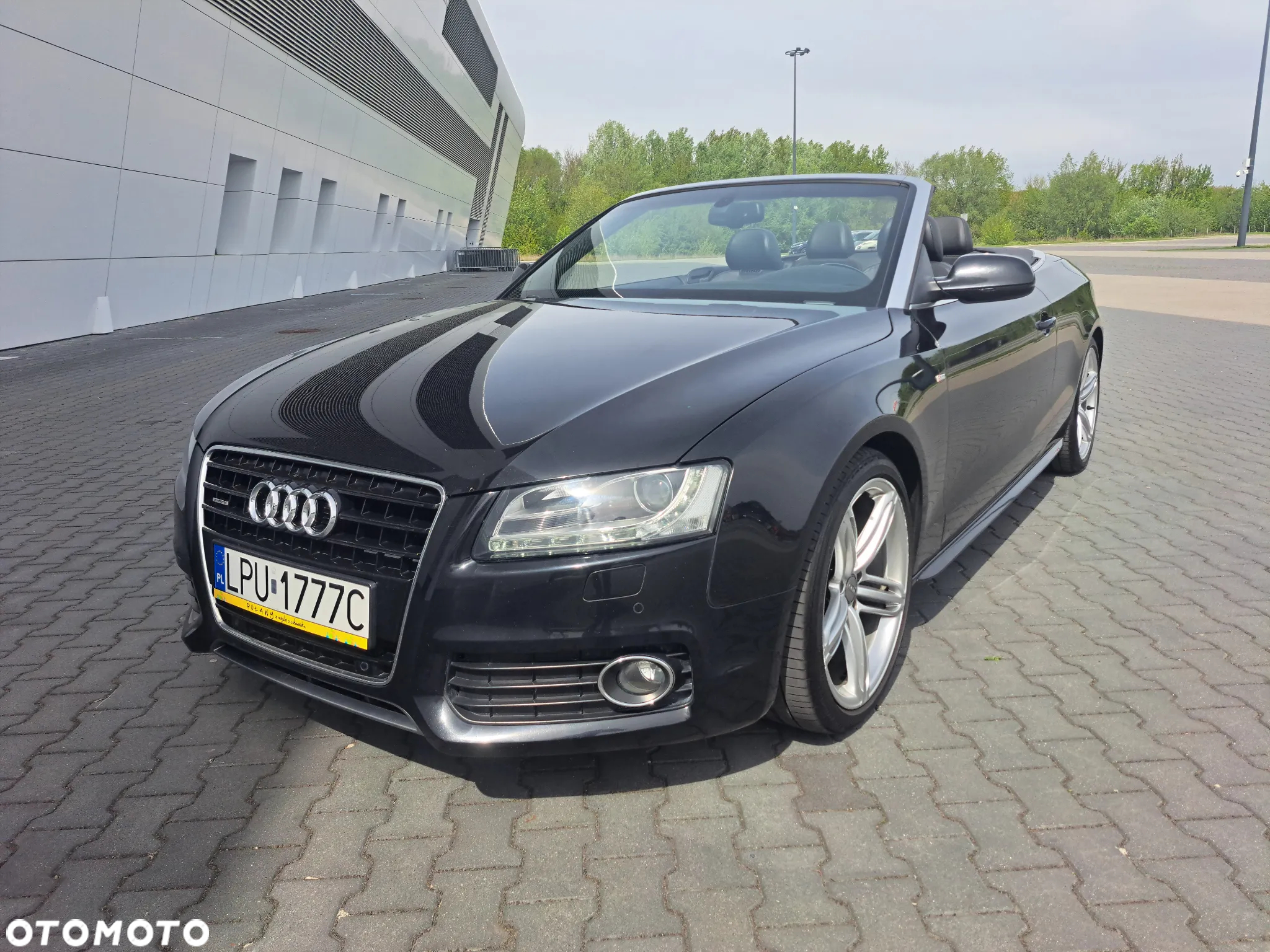Audi A5 3.0 TDI DPF quattro tiptronic - 2