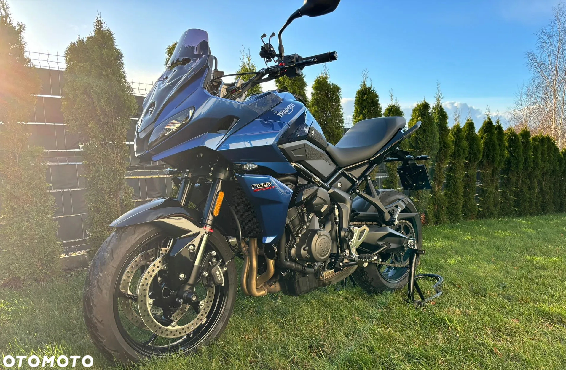 Triumph Tiger - 2