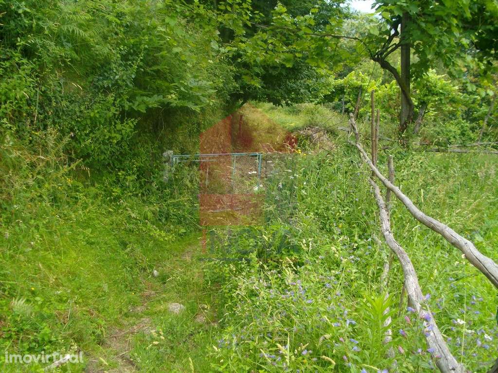 Terreno agrícola, Aboim da Nóbrega - Grande imagem: 5/12