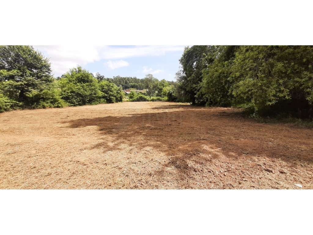 Terreno plano em Fornelos, Ponte de Lima. - Grande imagem: 4/5