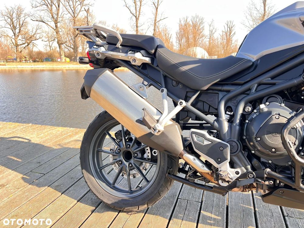 Triumph Tiger - 25
