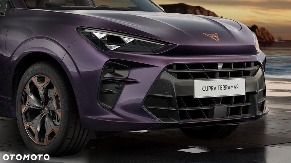 Cupra Terramar - 9