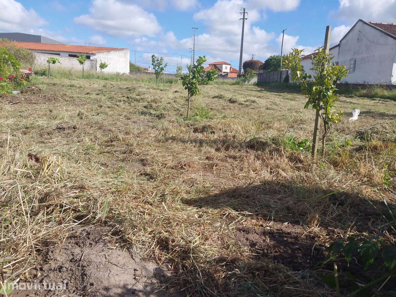 Terreno Urbano com 500m² em Casal Novo – Amor - Grande imagem: 4/4