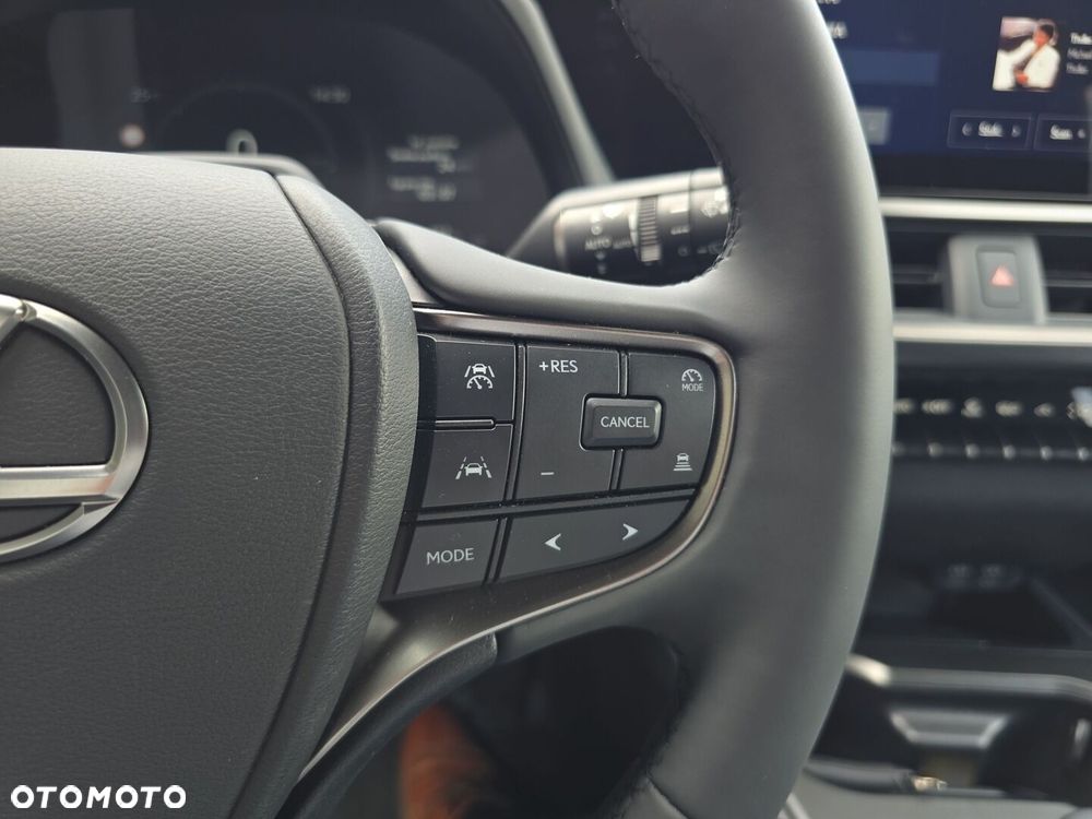 Lexus UX 300h F Sport Design - 18