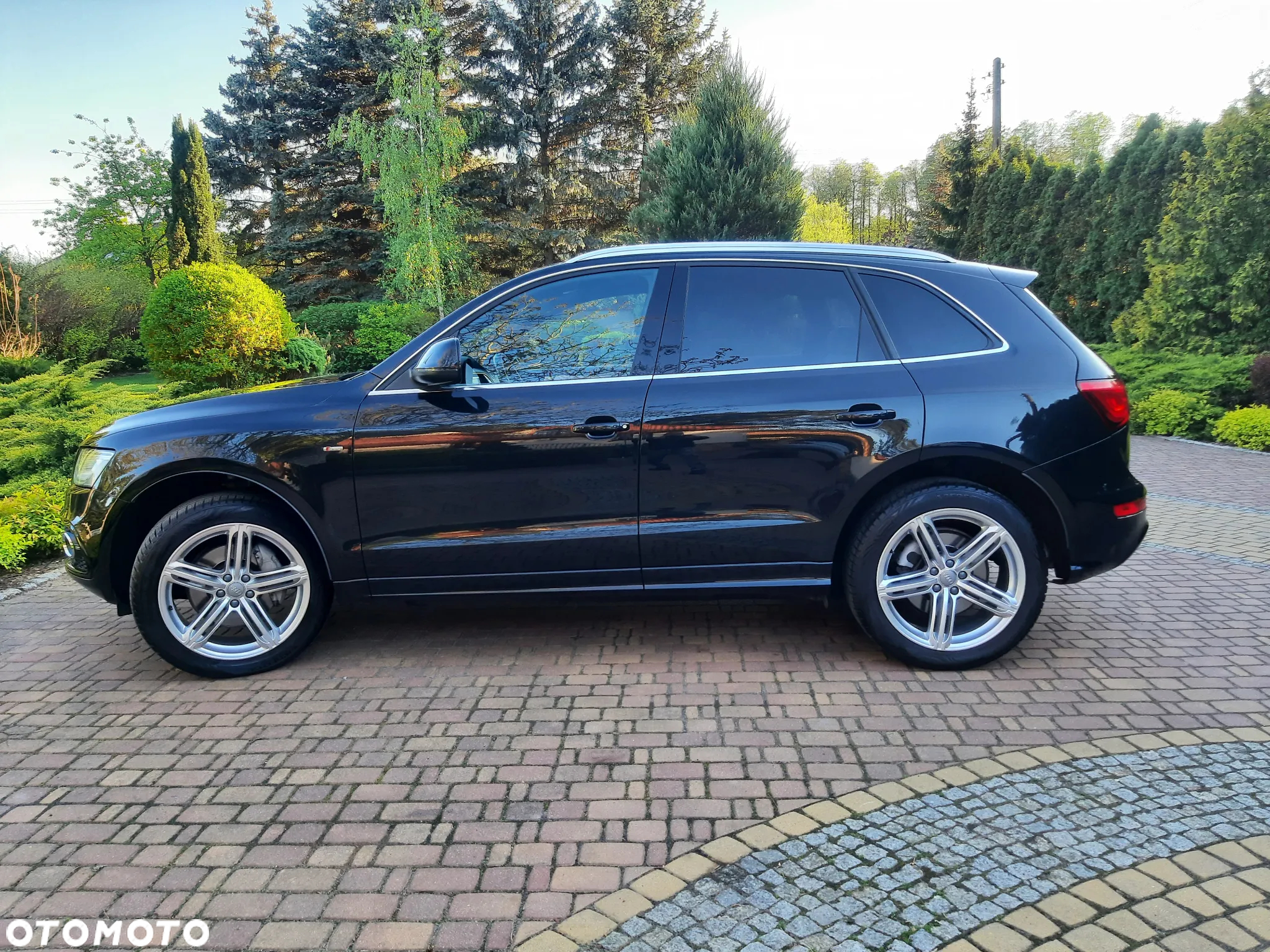 Audi Q5 3.0 TDI Quattro S tronic - 5