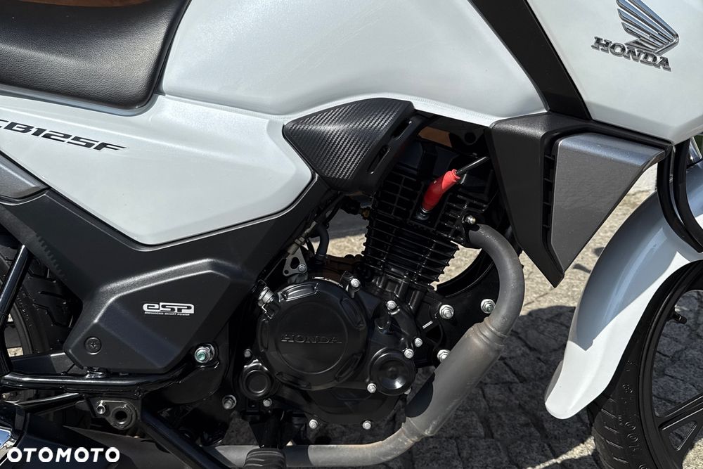 Honda CBF - 7