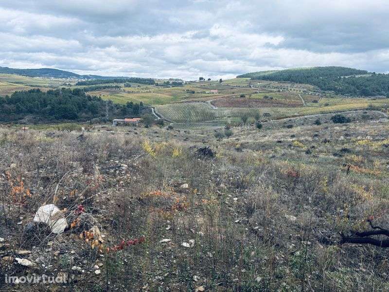 Terreno rústico urbanizável - Grande imagem: 4/9