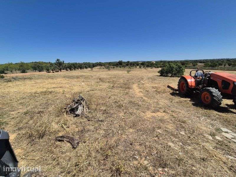 Arrendo Terreno / Armazém 76m2 EN125 Guia Albufeira - Grande imagem: 3/5
