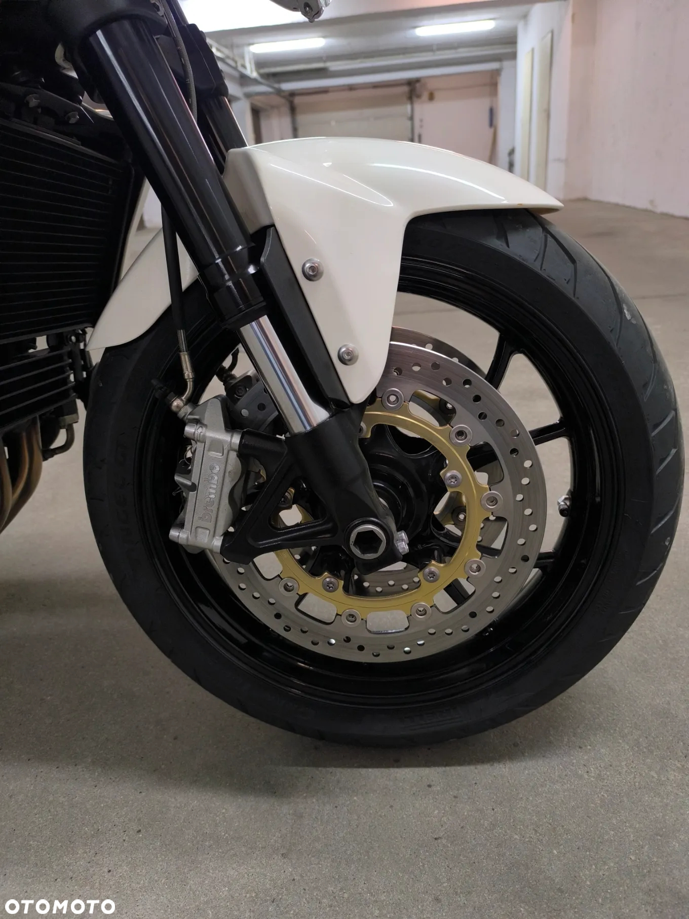 Triumph Speed Triple - 25