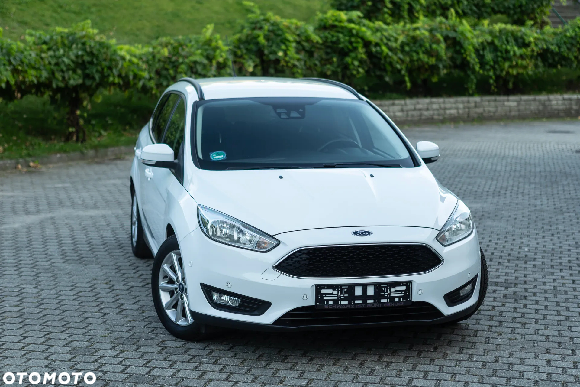 Ford Focus - 7