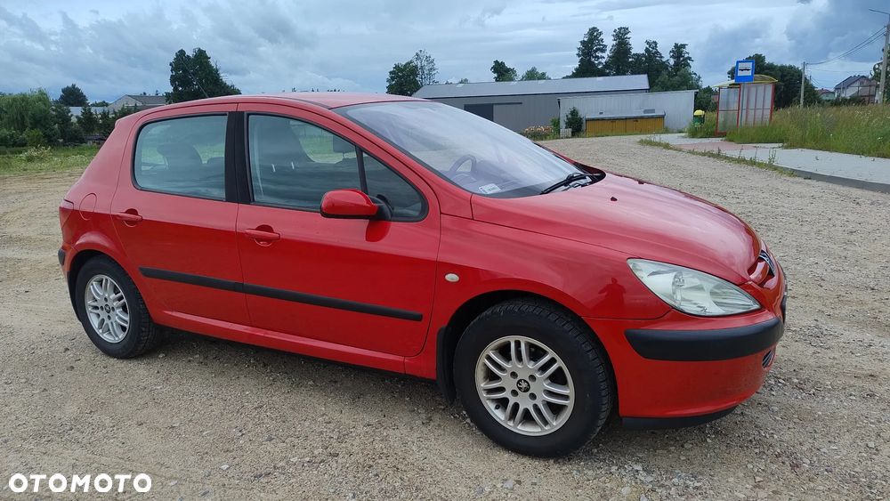 Peugeot 307 1.4 XR - 10