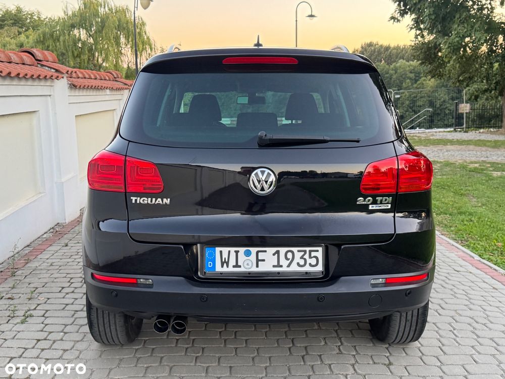 Volkswagen Tiguan - 38
