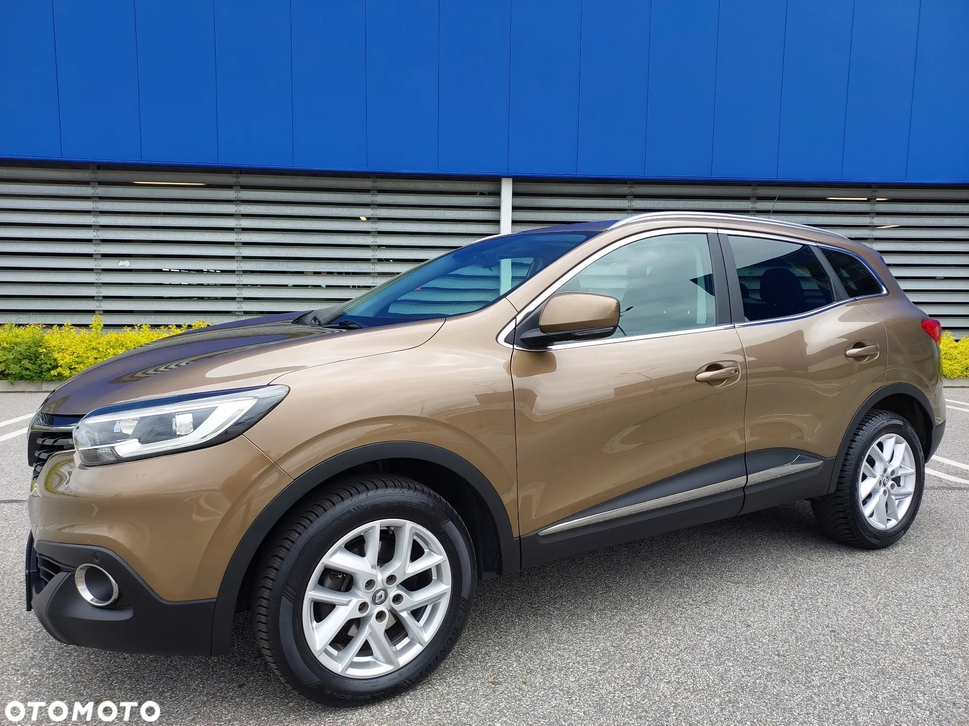 Renault Kadjar 1.6 dCi Energy Limited - 2