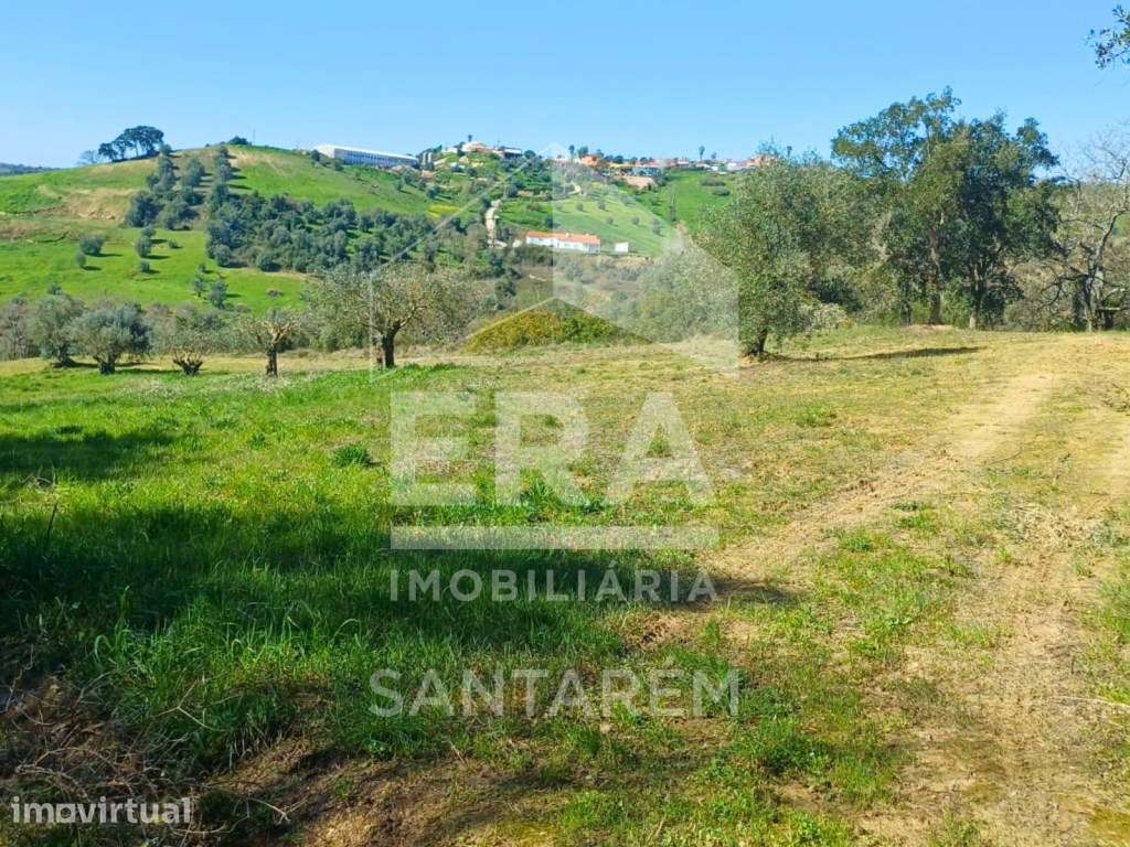 Terreno Rústico com 2 hectares - Grande imagem: 2/9