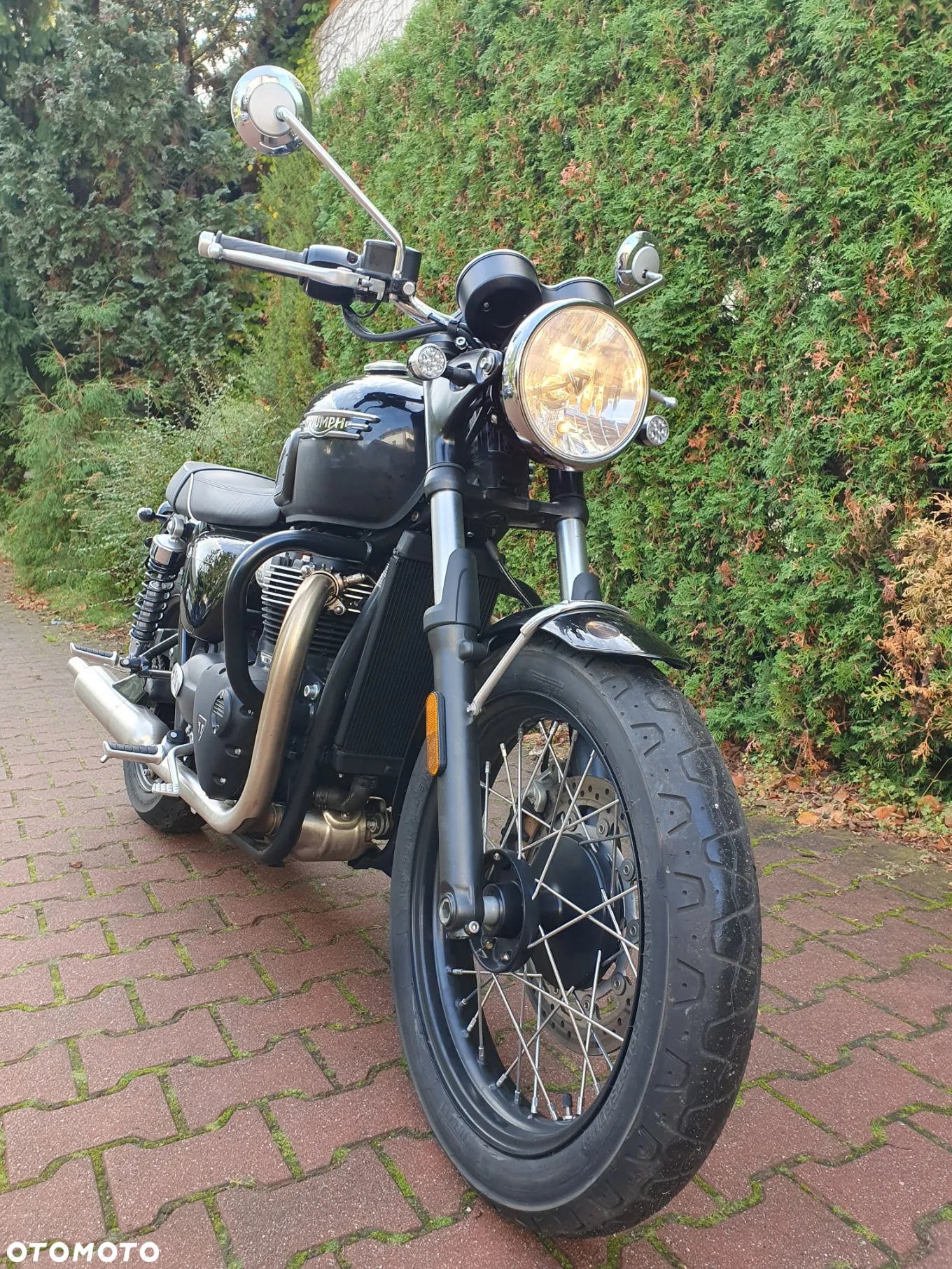 Triumph Bonneville - 5