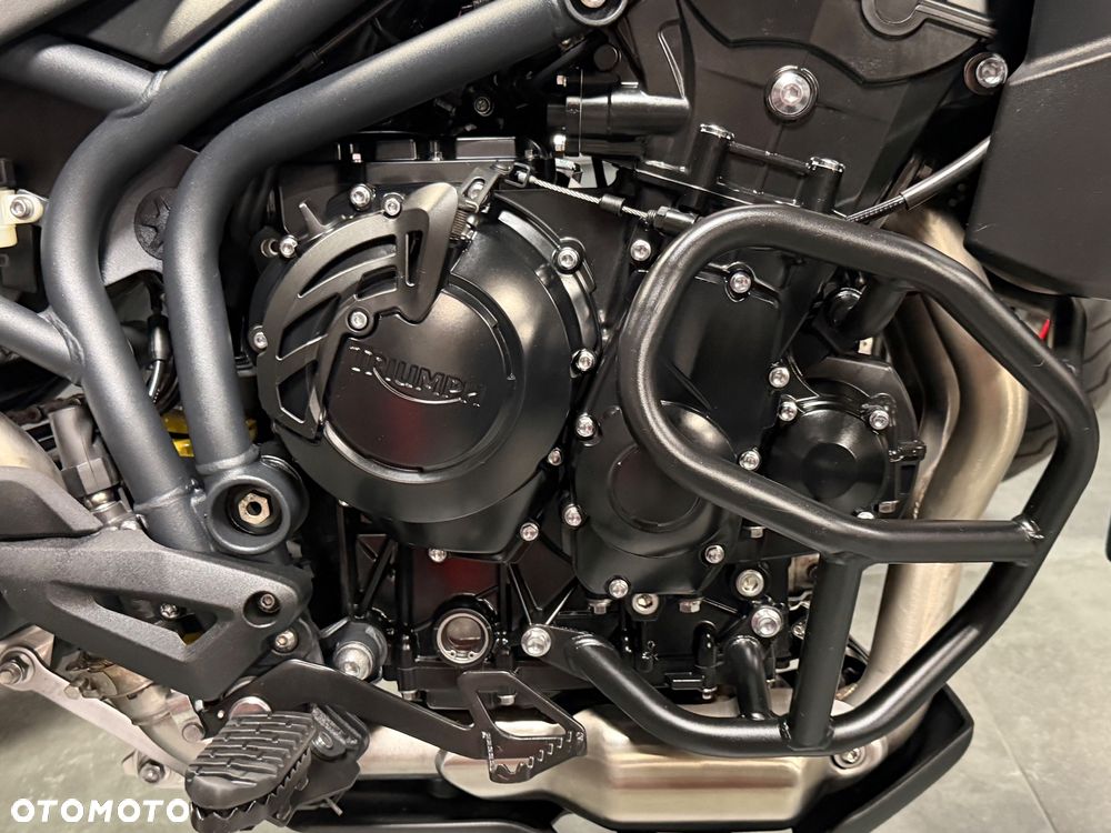 Triumph Tiger - 16