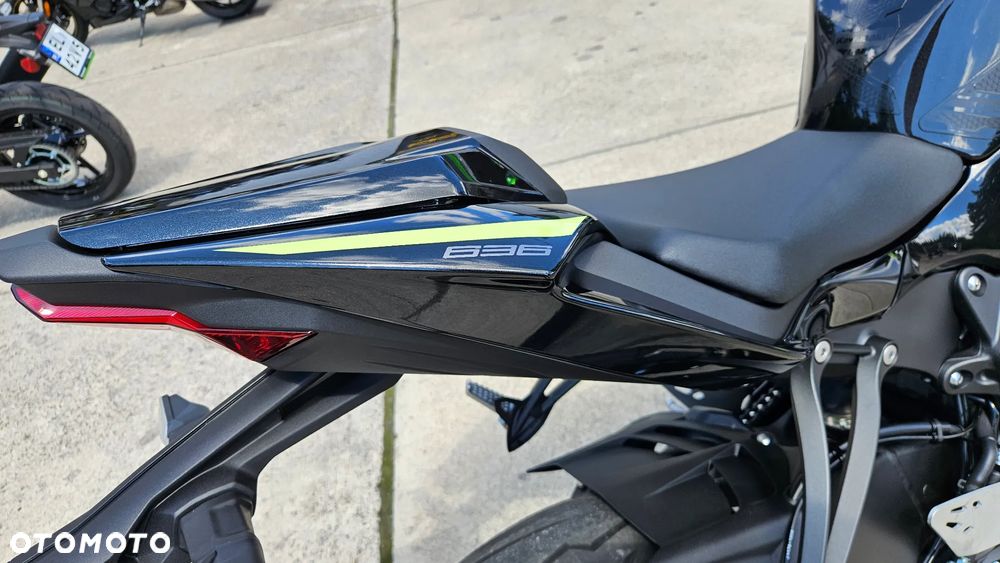 Kawasaki Ninja - 10