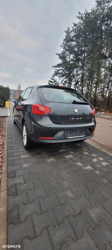 Seat Ibiza - 31
