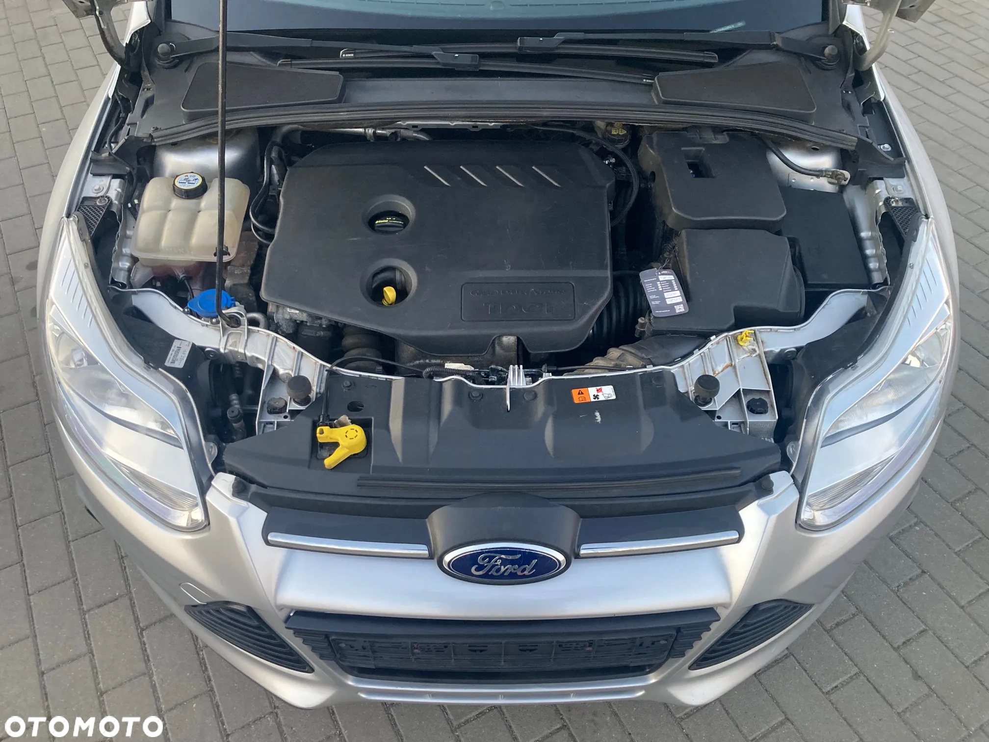 Ford Focus 1.6 TDCi DPF Champions Edition - 24