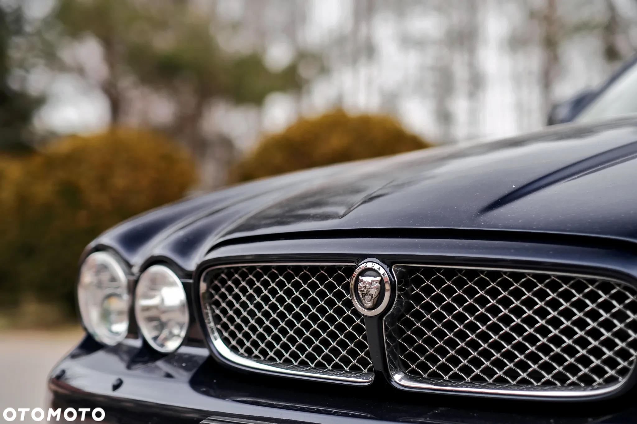 Jaguar XJ XJ8 4.2 LWB Executive - 4