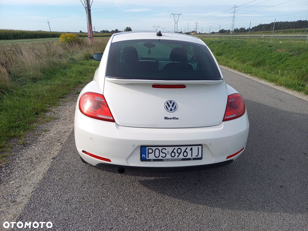 Volkswagen Beetle - 4