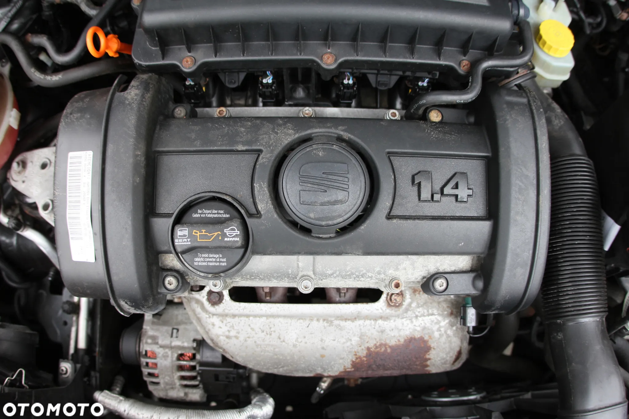 Seat Ibiza - 38