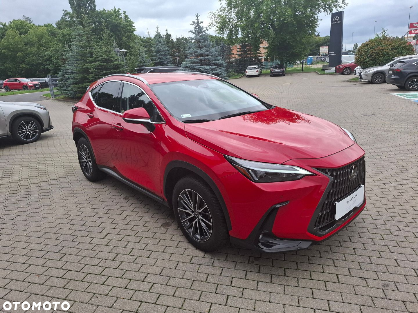 Lexus NX 350h Prestige AWD - 7