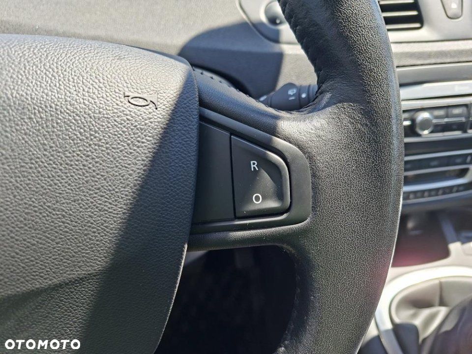 Renault Scenic - 19