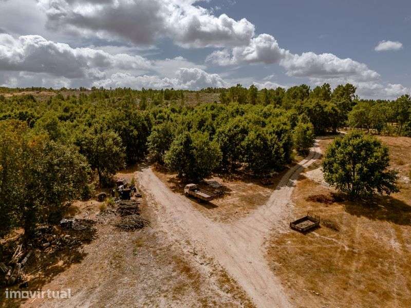 Quinta 27.000m² com Poço, Charca e Potencial de Construção - Sabugal - Grande imagem: 2/12