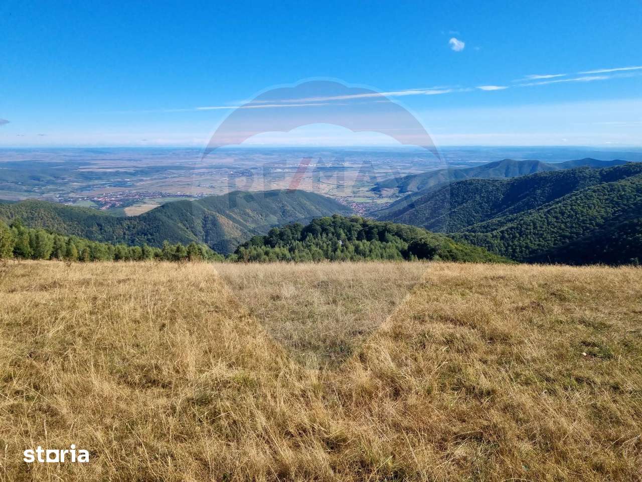 Teren extravilan - Imagine principală: 3/13