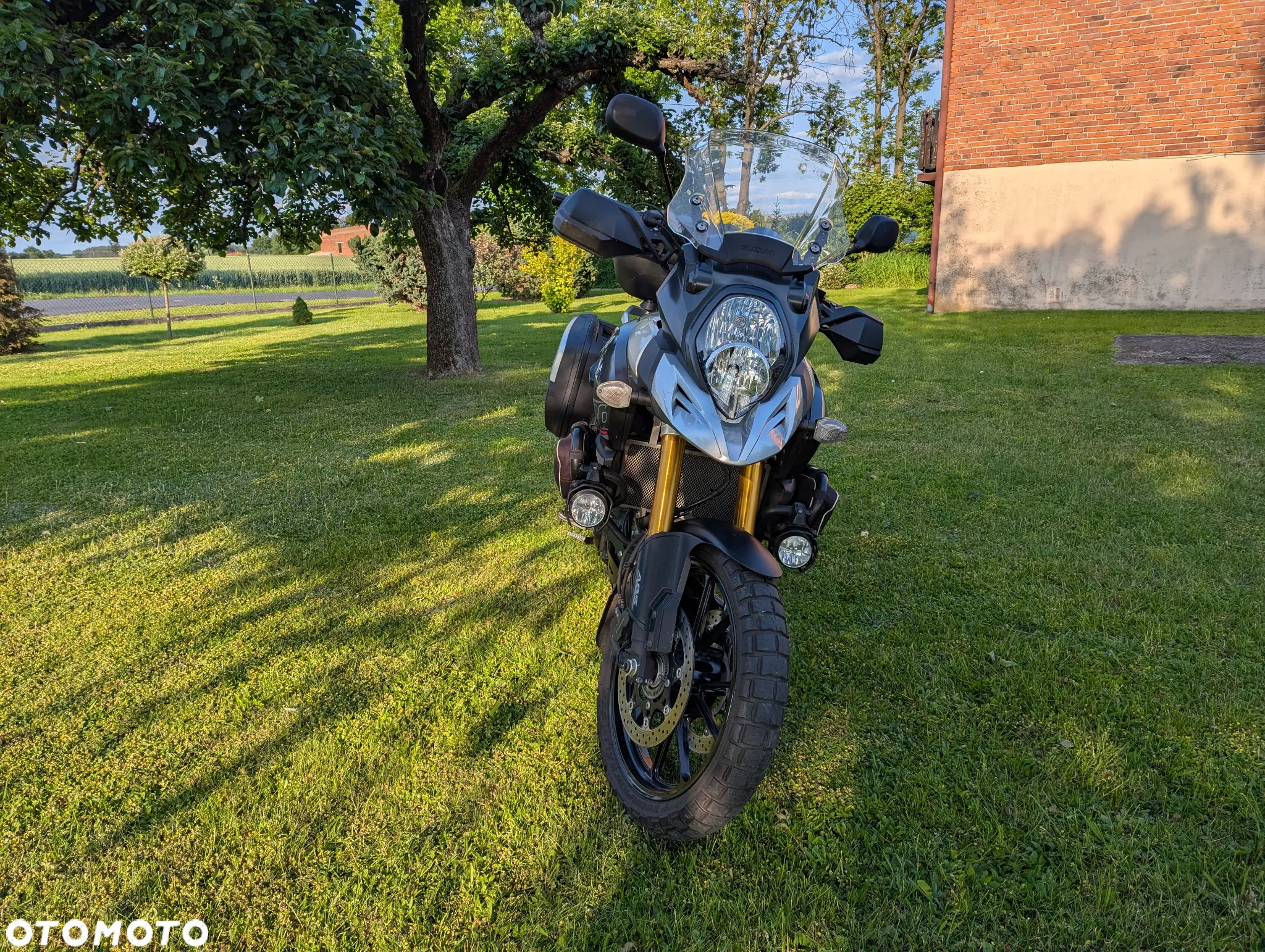 Suzuki DL - 5