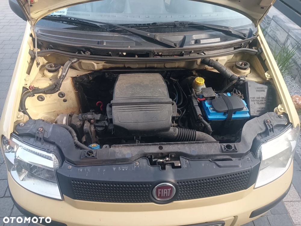 Fiat Panda 1.1 Active dla kobiet - 2