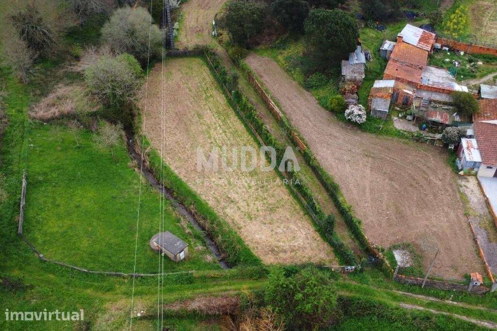 Terreno Rústico, Canelas, Aveiro - Grande imagem: 4/6