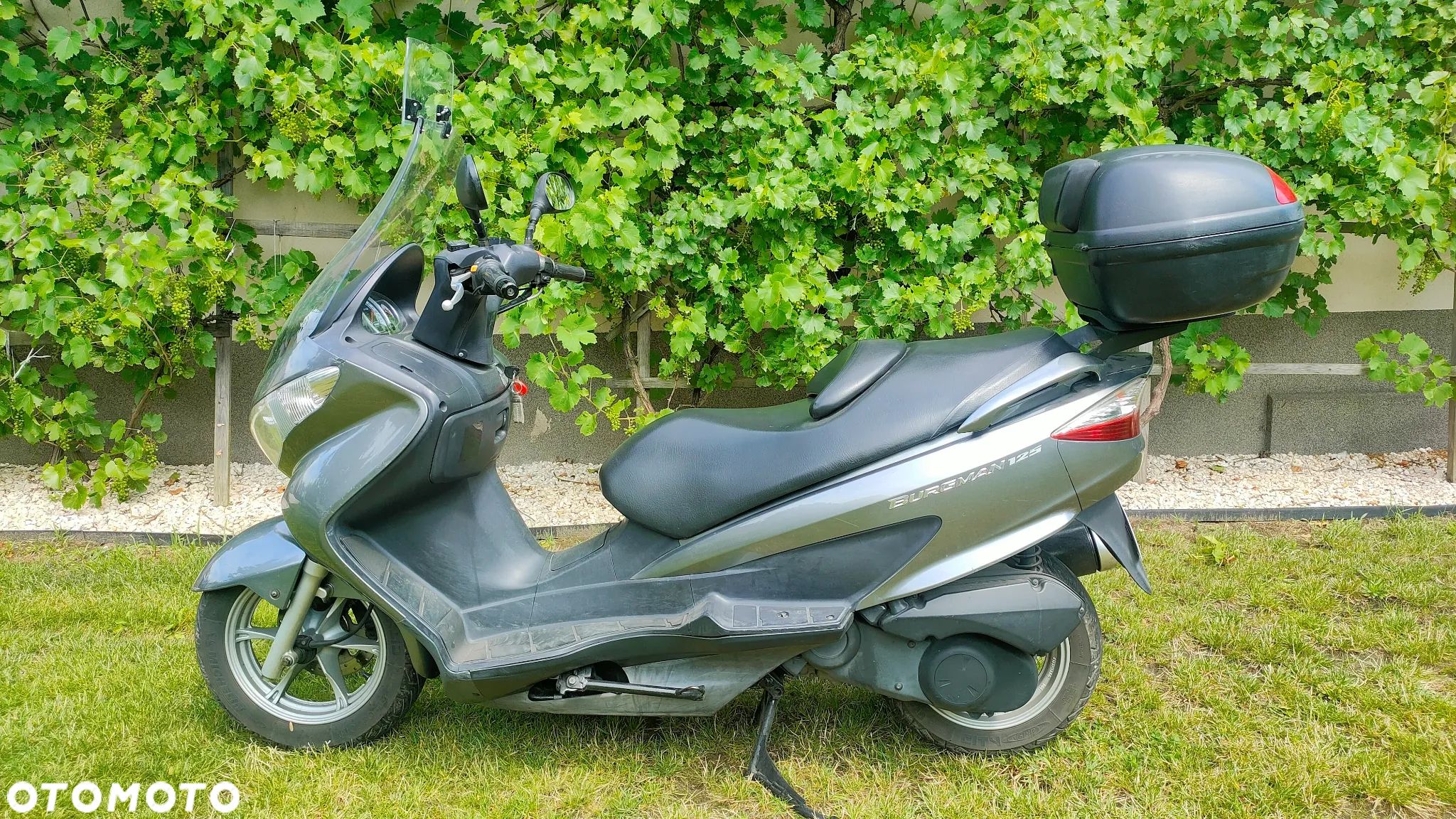 Suzuki Burgman - 1