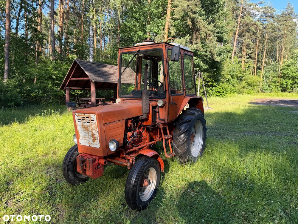Inny WLADIMIREC T25A - 7
