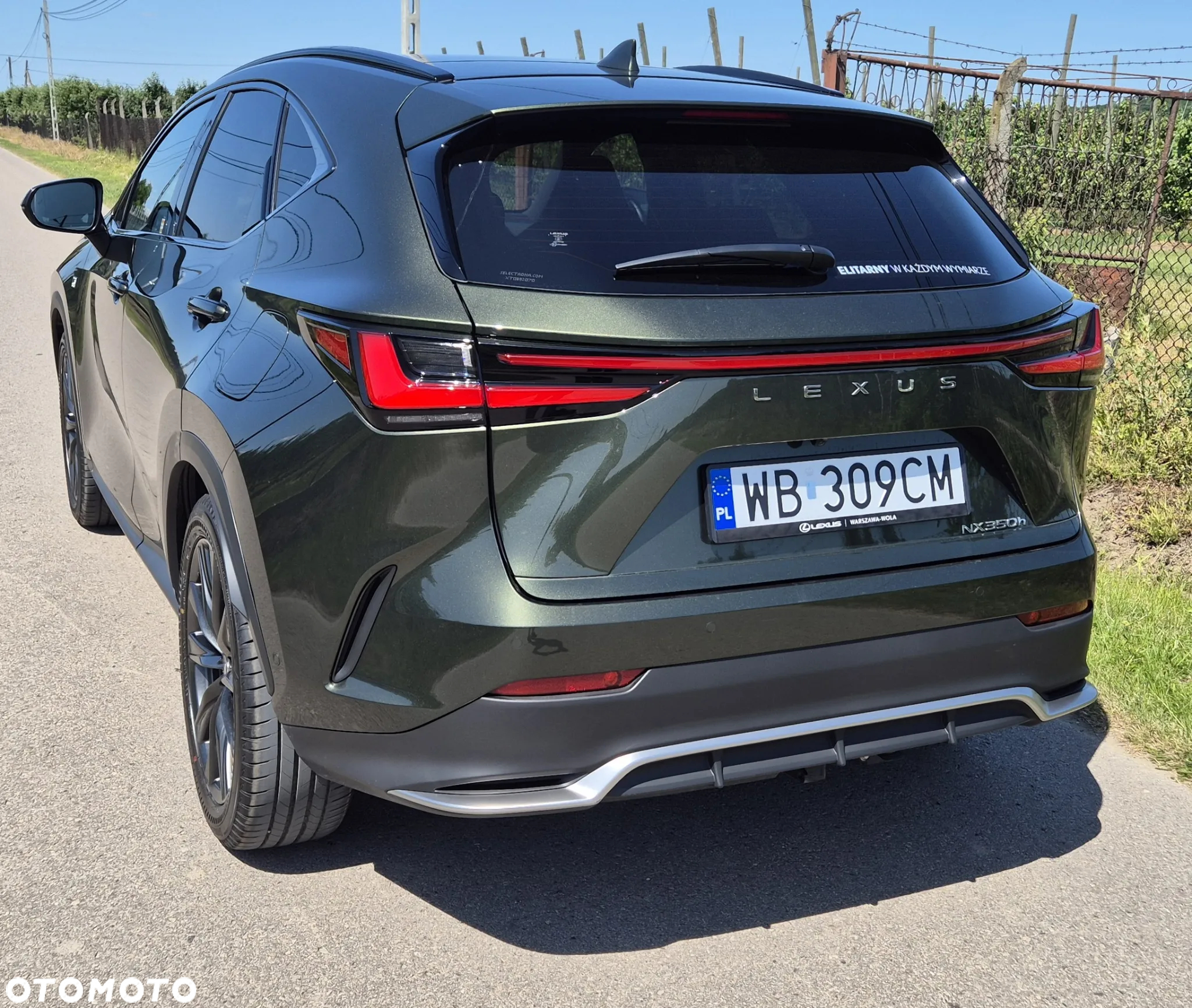 Lexus NX 350h F Sport AWD - 4