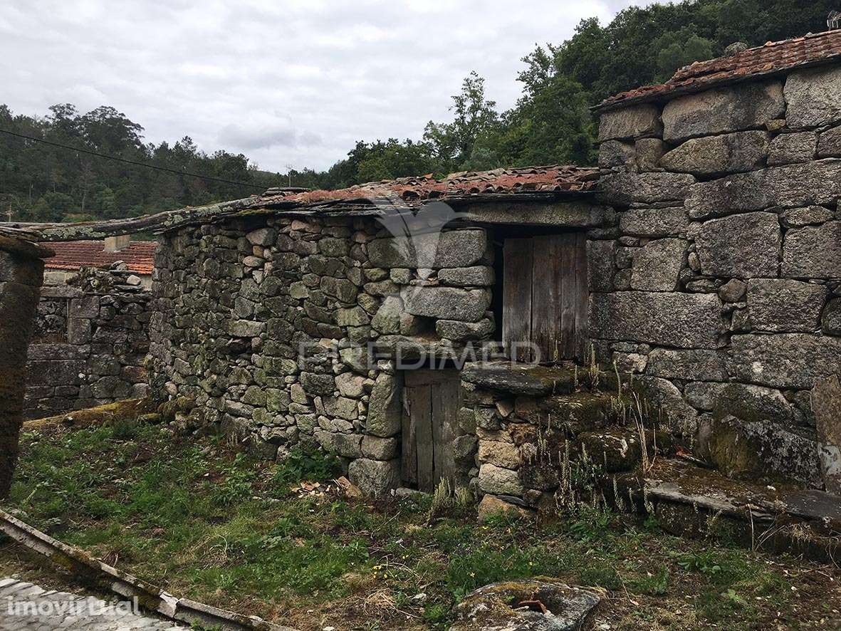 Oportunidade de Investimento em Macieira de Alcôba, Águeda - Grande imagem: 5/16