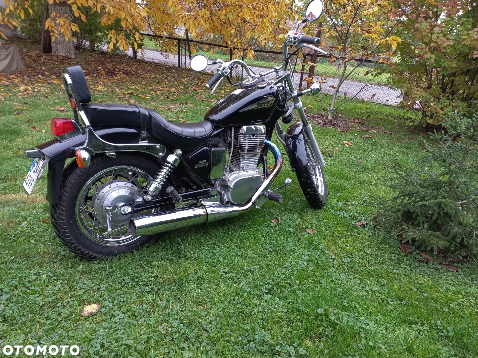 Suzuki Savage - 5