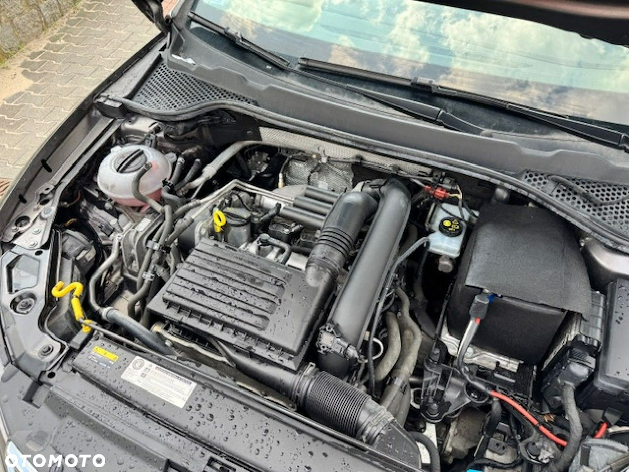 Seat Leon - 19