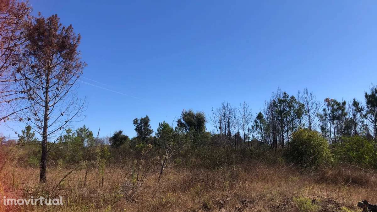 Quintinha Azia - Grande imagem: 4/6