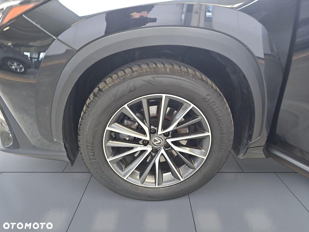 Lexus NX - 34
