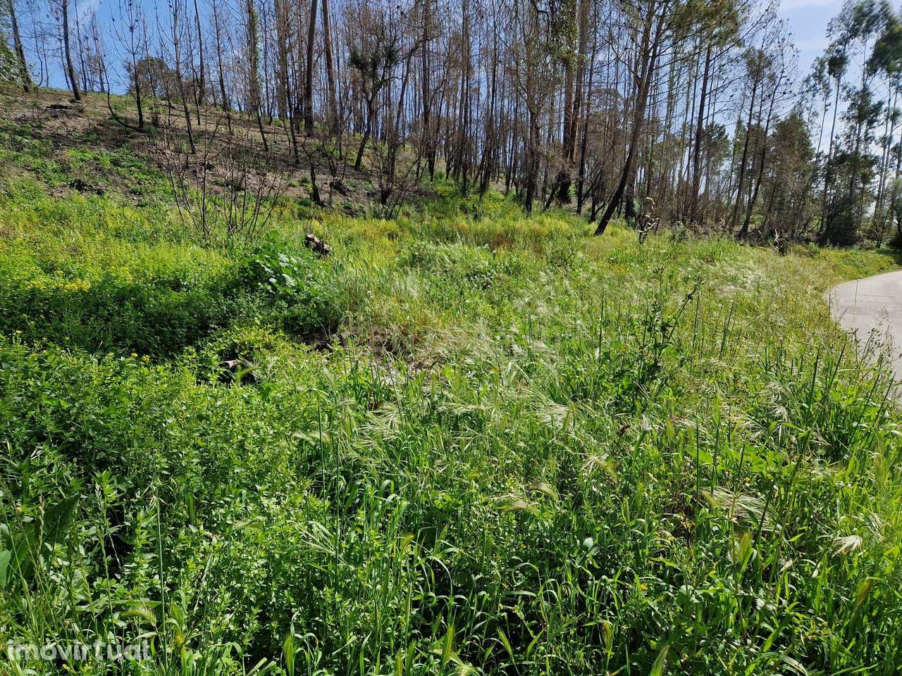 Terreno para construção em Colmeias, Leiria - Grande imagem: 2/8